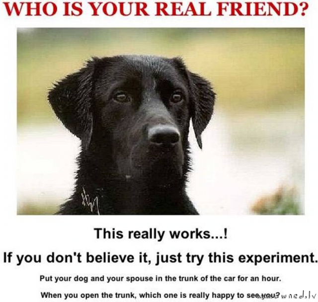 Who is your real friend ?