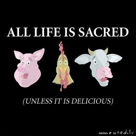 All life is sacred