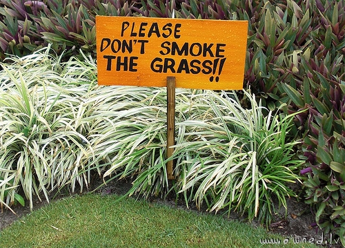 Please dont smoke the grass