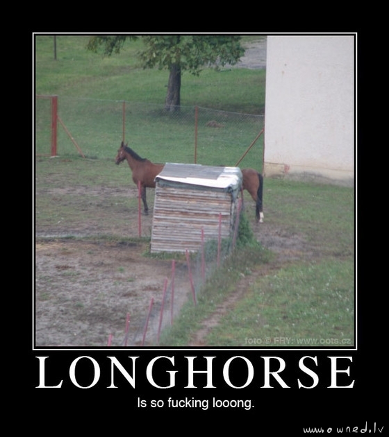 Longhorse