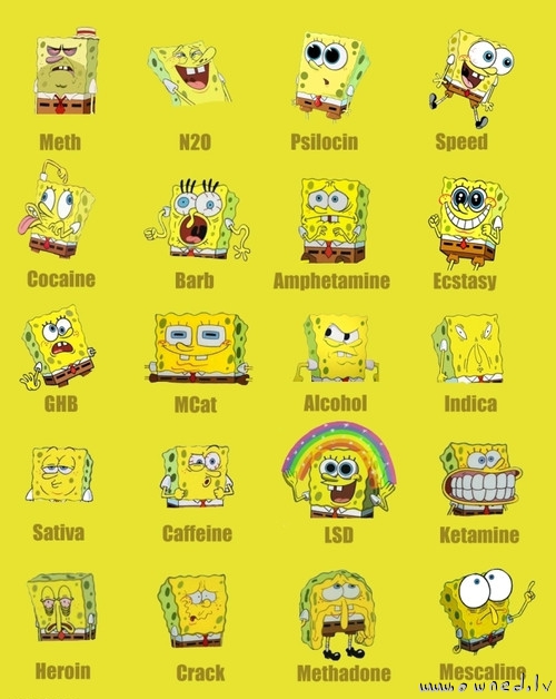 Sponge Bob on drugs