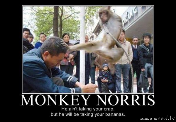 Monkey Norris