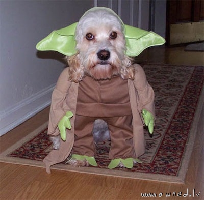Yoda is real
