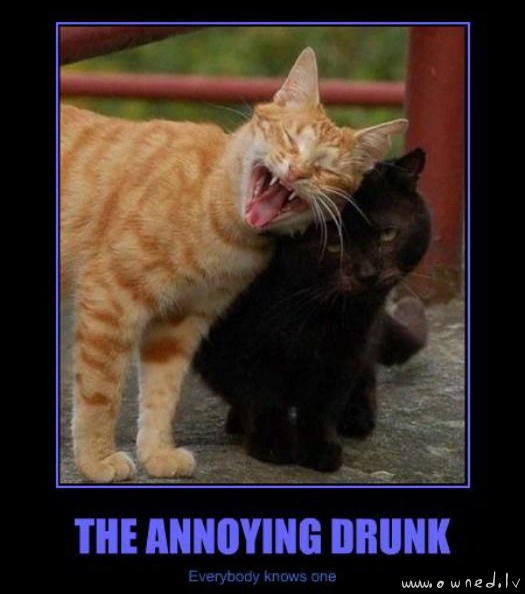 The annoying drunk