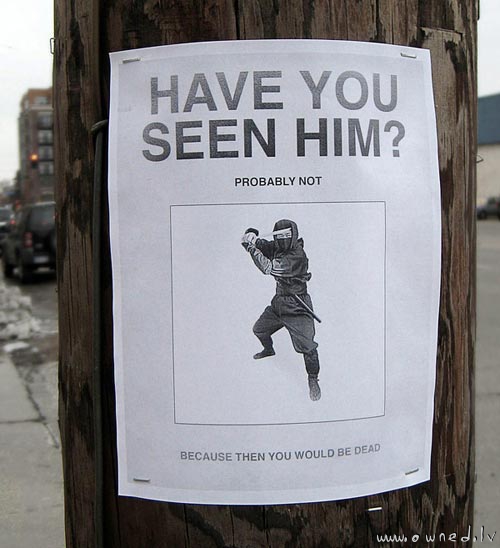 Have you seen him ?
