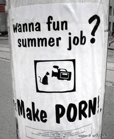 Wanan fun summer job ?