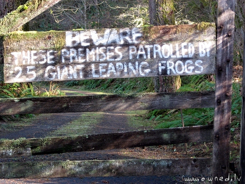 Beware - Giant leaping frogs