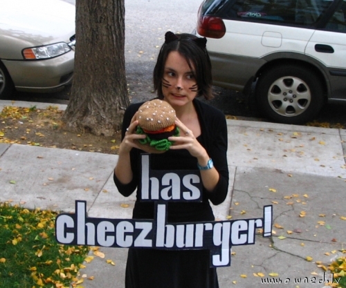 Has cheezburger