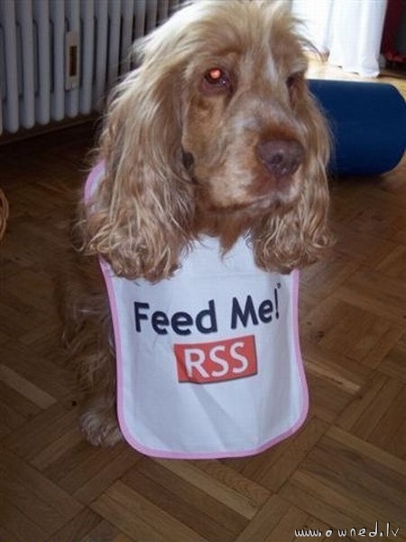 Feed me RSS