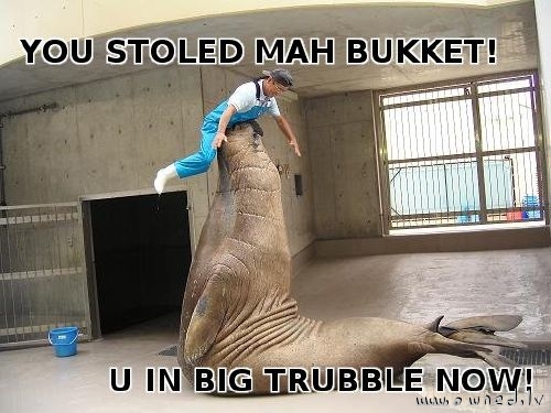 You stoled my bucket
