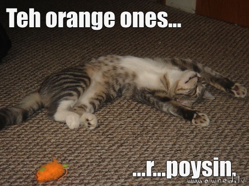 The orange ones are poison ...