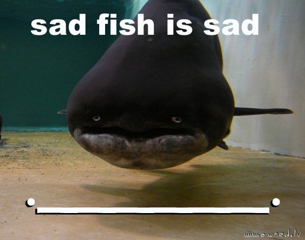Sad fish is sad