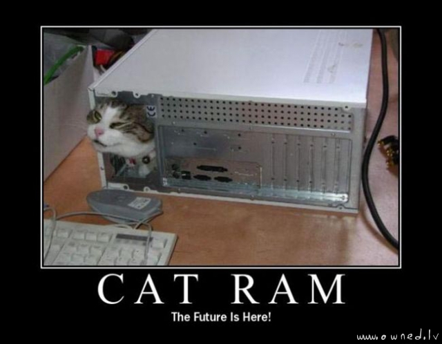 Cat ram