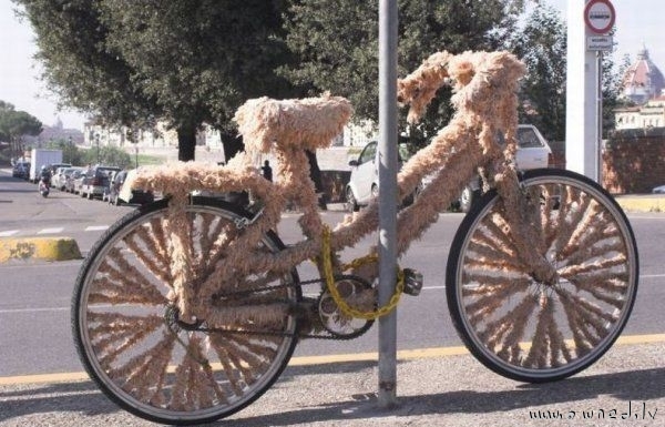 Furry bicycle