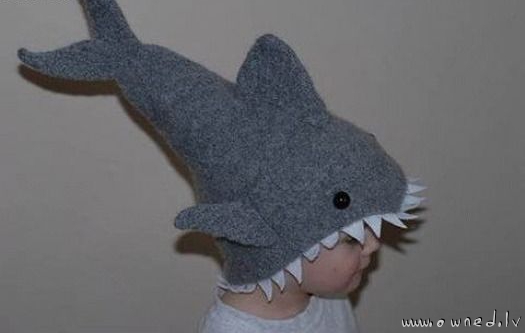 Shark hat