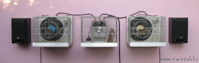 Hamster powered speakers