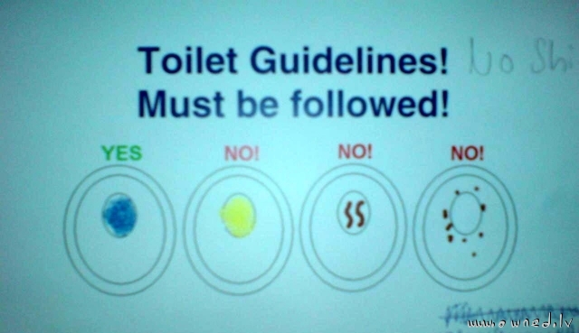 Toilet guidelines