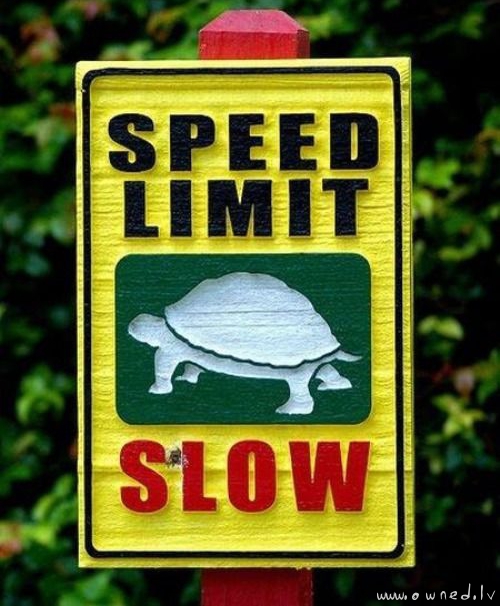 Speed limit slow