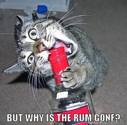 But why is the rum gone ?