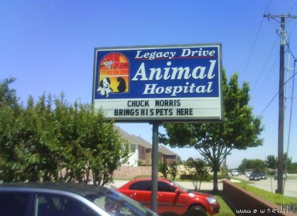 Chuck Norris brings his pets here
