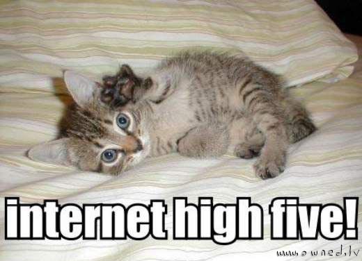 Internet high five