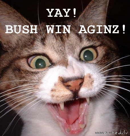 Yay! Bush win aginz