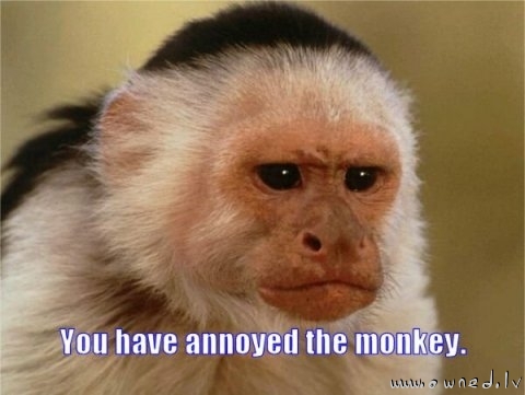 You have annoyed the monkey