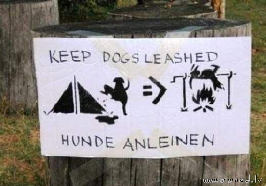 Keep dogs leashed