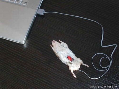 Real USB mouse