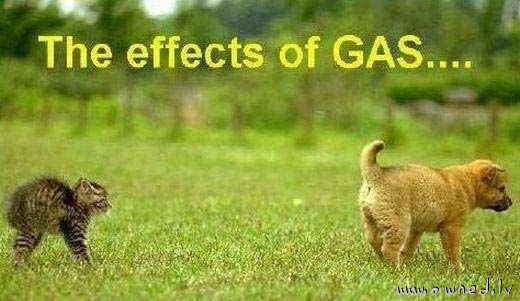 The effects of gas