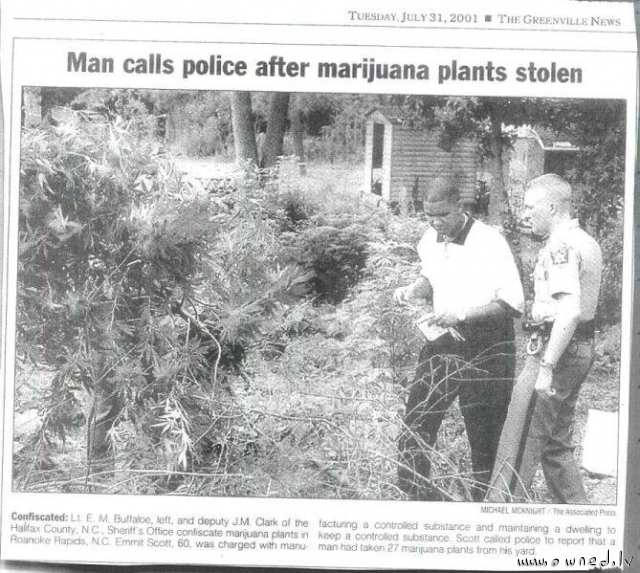Man calls police after marijuana plants stolen