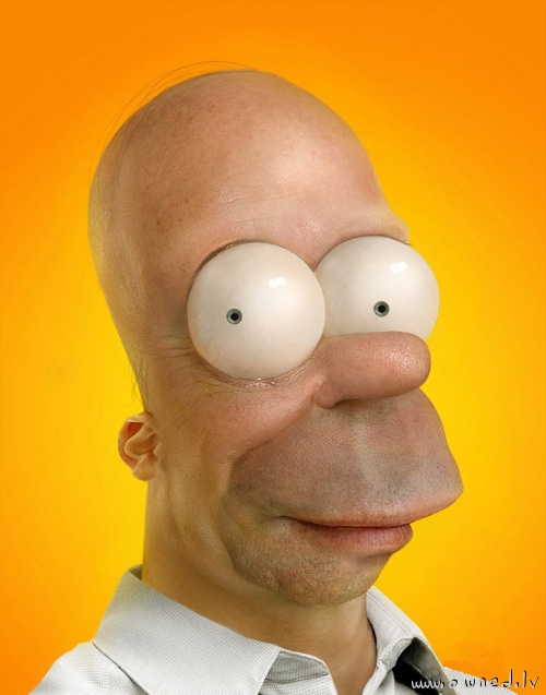 If Homer Simpson were a real person