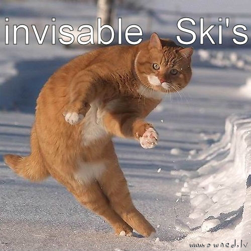 Invisible ski's