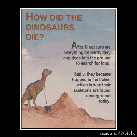 How did the dinosaurs die ?