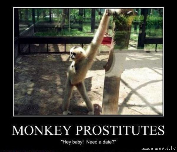 Monkey prostitutes