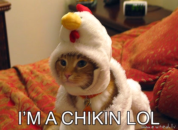 I am a chicken