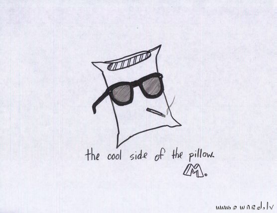 The cool side of the pillow