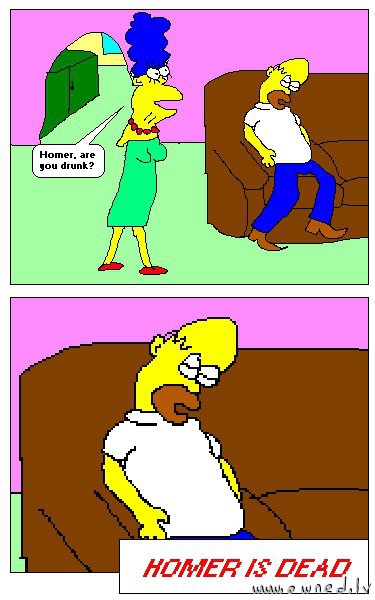 Homer are you drunk ?