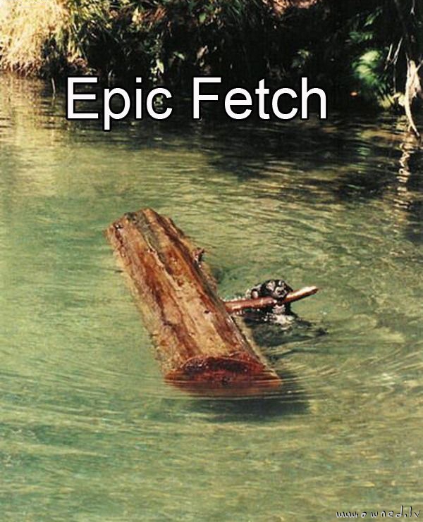Epic fetch