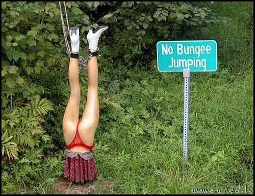 No bungee jumping