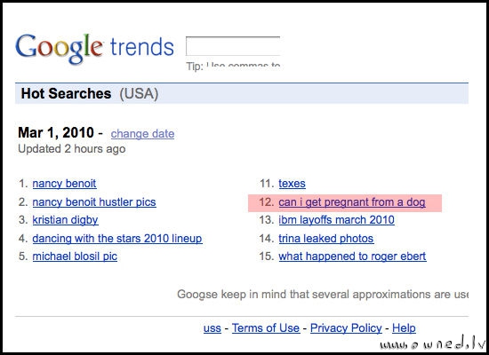 USA hot searches